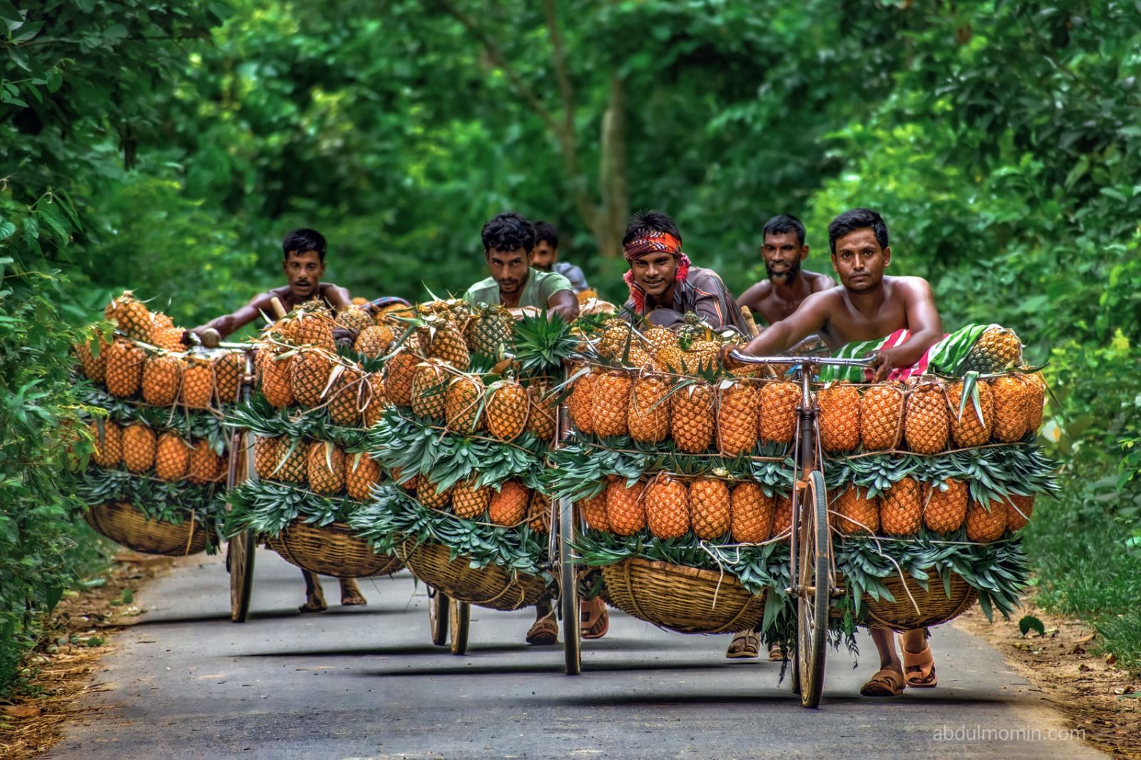 Summer Colors of Bengal Photo Tour