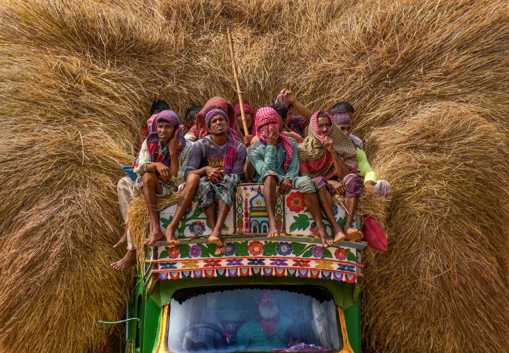 Golden Harvest & Village Life