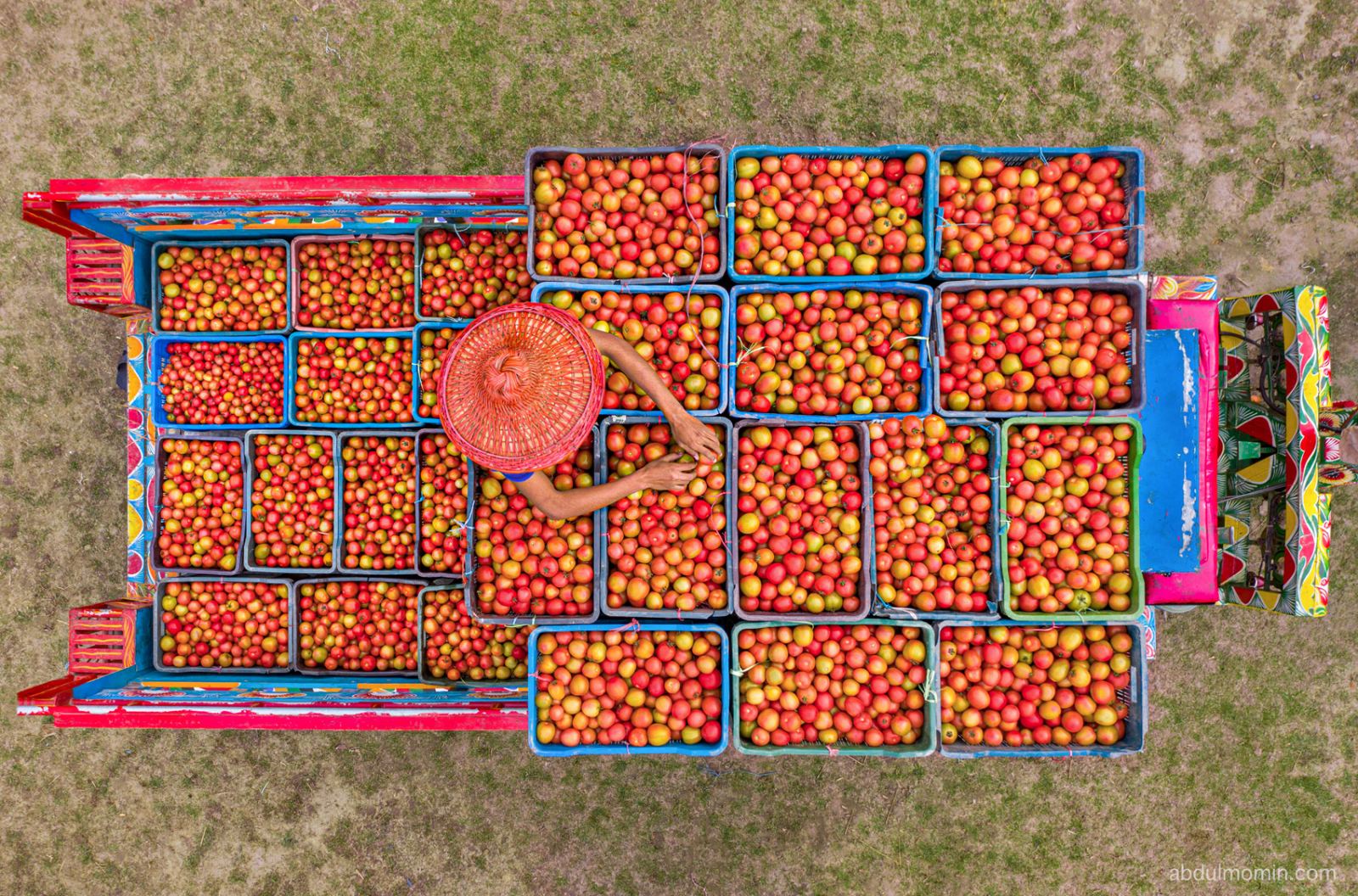 Tomato Wholesale Trading & Paddy Drying Yards