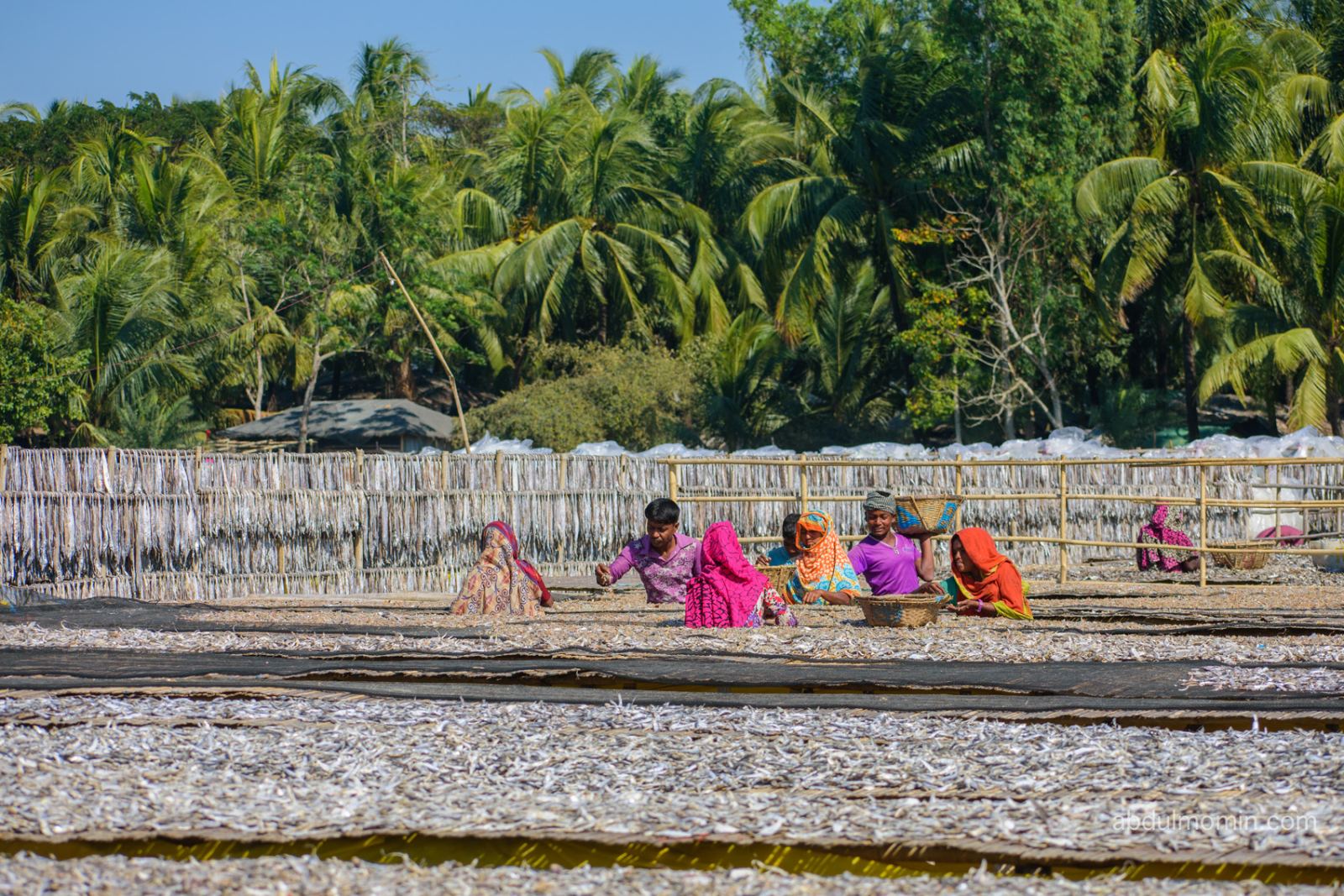 Coastal Fish Drying Yards & Beach Hauls