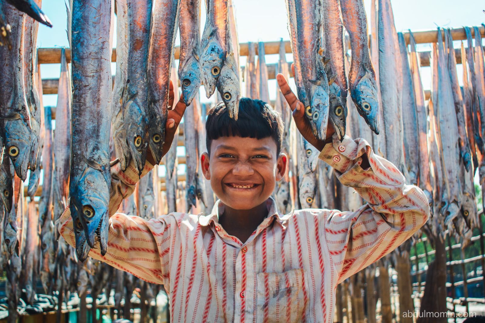 Coastal Shores, Moon Boats, and Dry Fish Yards