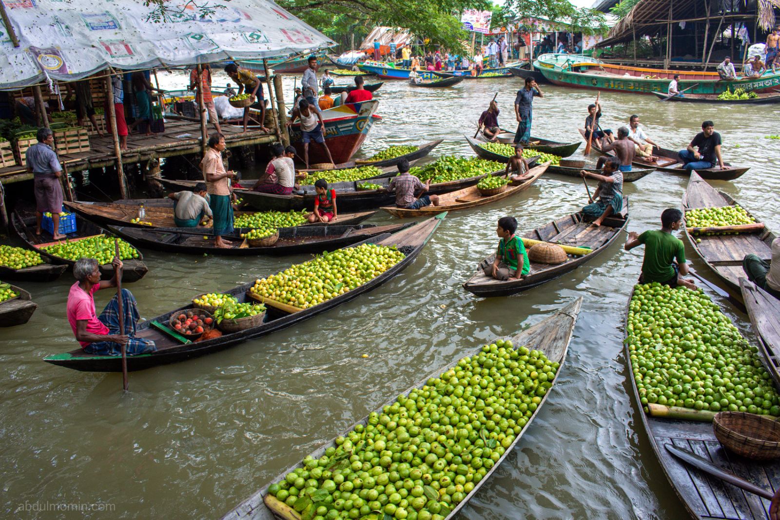 Floating Guava Market and Rural Lifestyle in Barisal