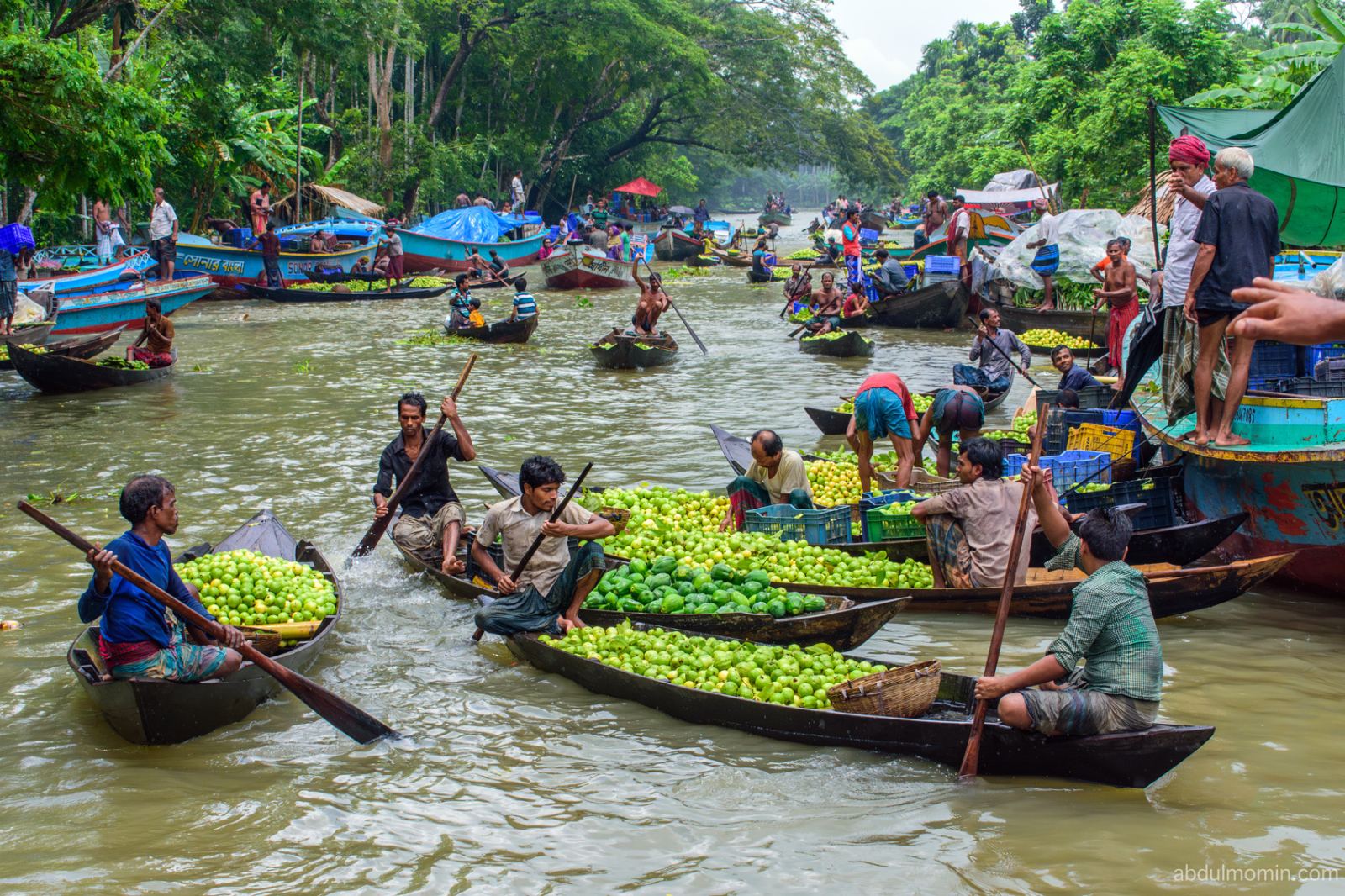 Floating Guava Market and Rural Lifestyle in Barisal