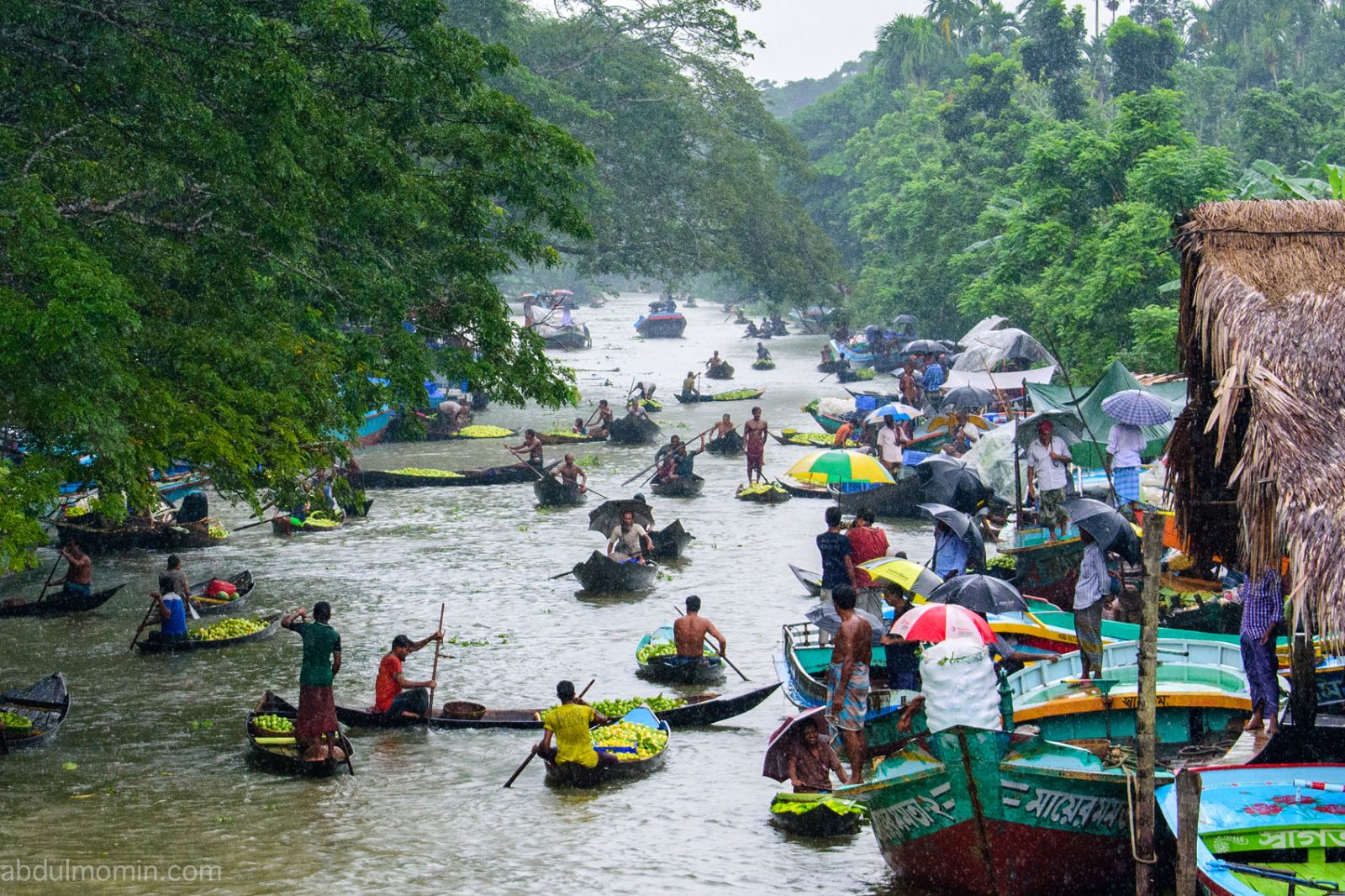Floating Guava Market and Rural Lifestyle in Barisal