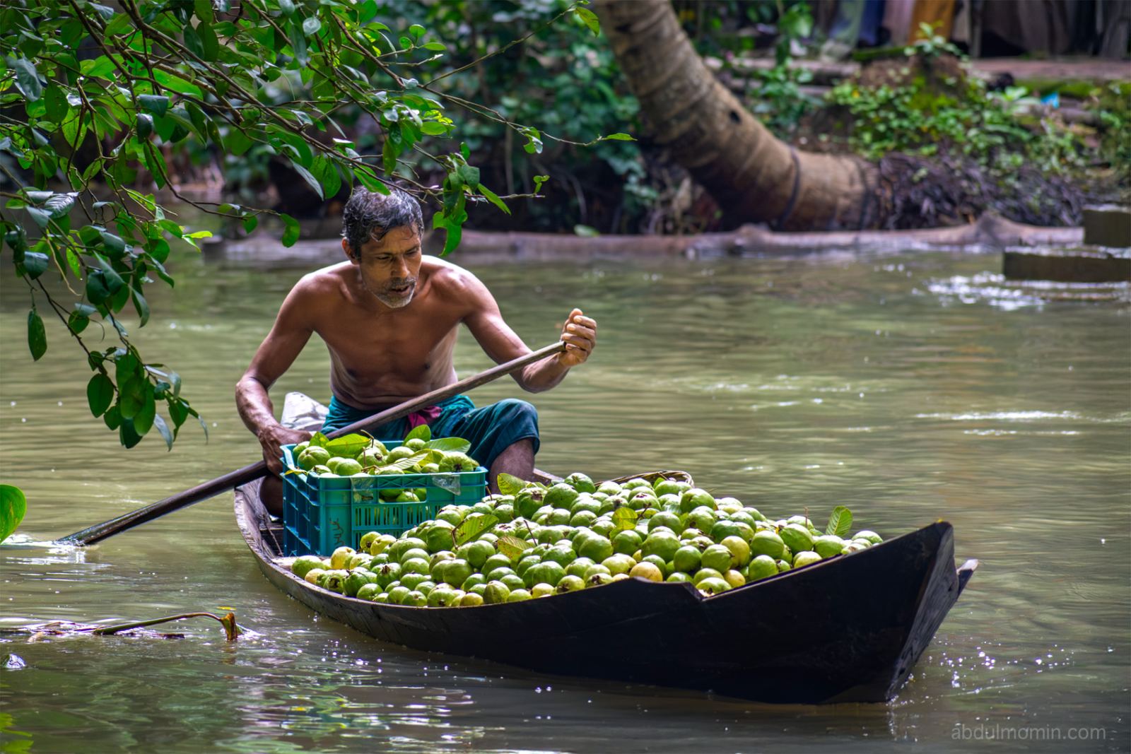 Floating Guava Market and Rural Lifestyle in Barisal