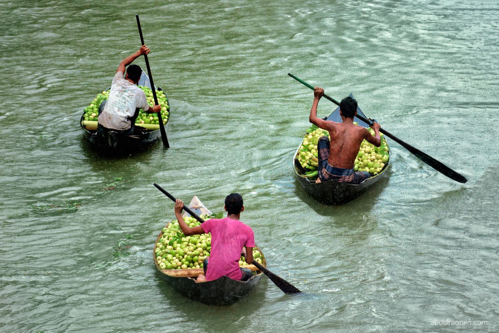 Floating Guava Market and Rural Lifestyle in Barisal