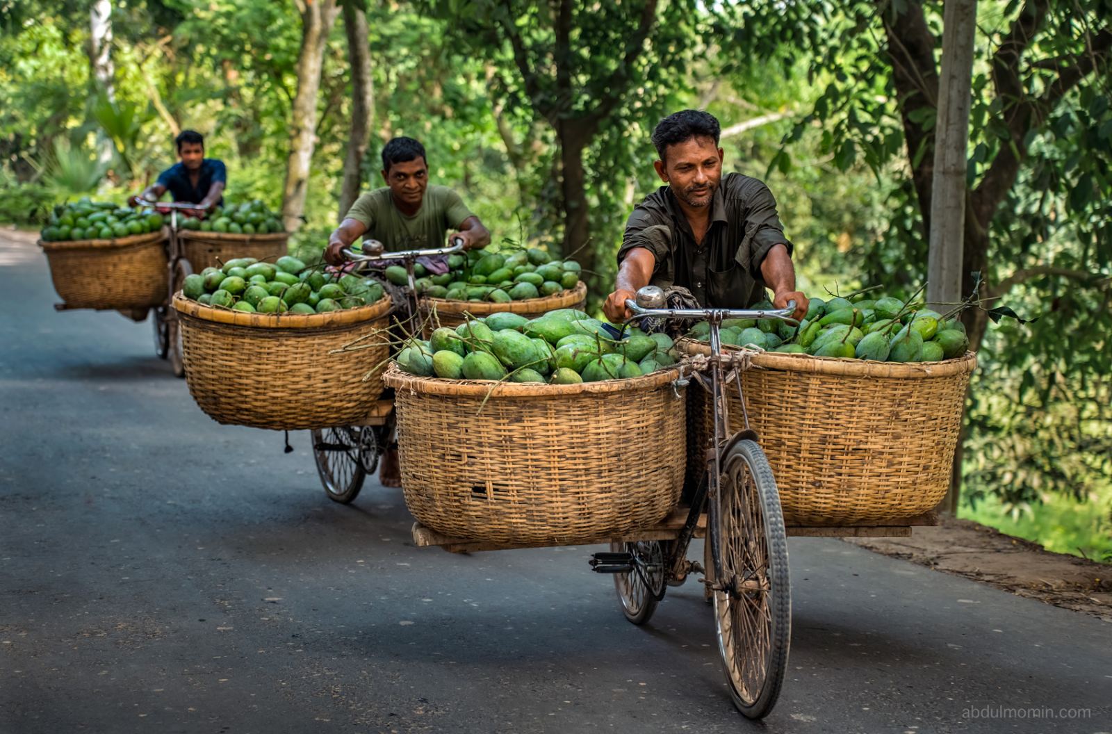 Bustling Wholesale Mango Market in Rajshahi Kansat