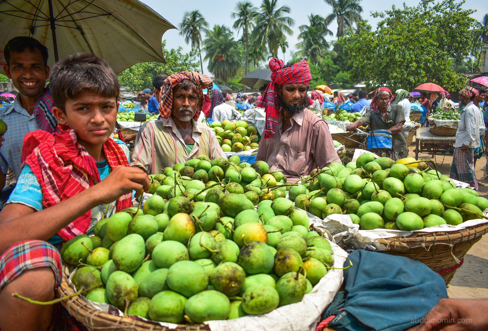 Bustling Wholesale Mango Market in Rajshahi Kansat