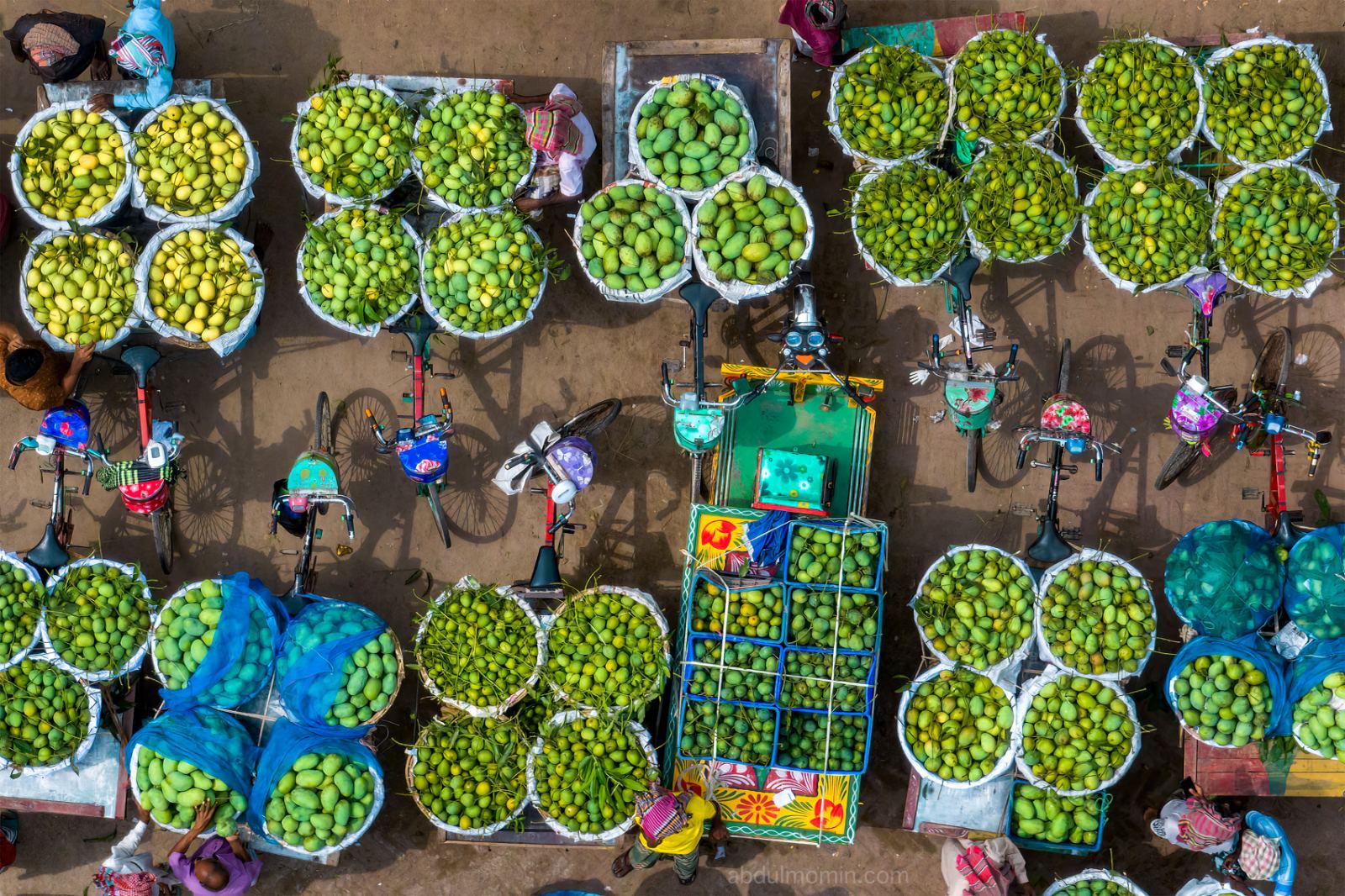 Bustling Wholesale Mango Market in Rajshahi Kansat