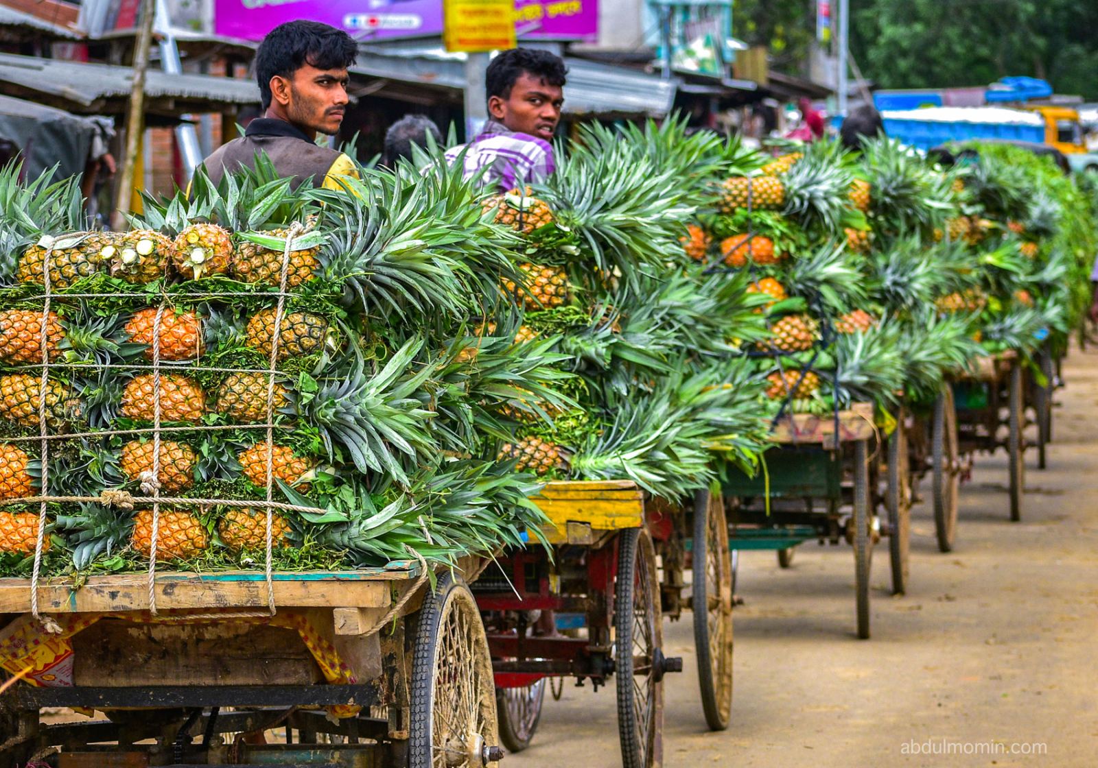Pineapple Harvest Carrying in Rural Market