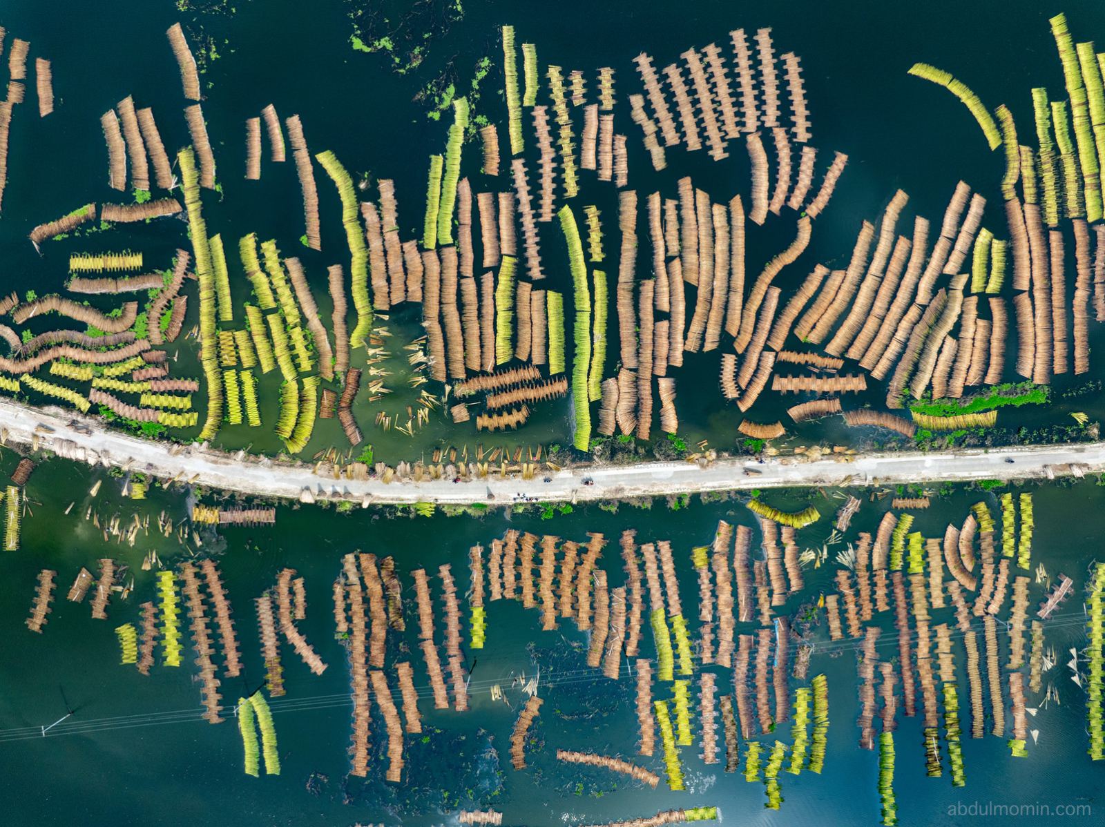 Aerial View of Jute Retting Process and Wholesale Jute Market on the Bank of Jamuna River