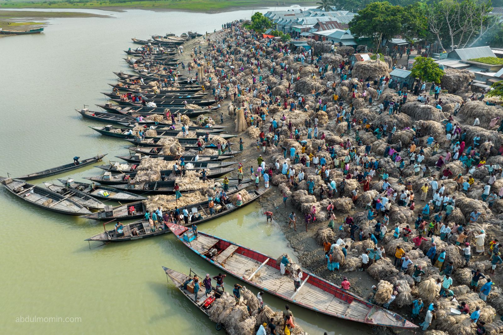 Aerial View of Jute Retting Process and Wholesale Jute Market on the Bank of Jamuna River