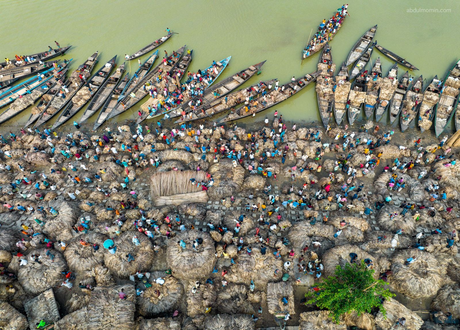 Aerial View of Jute Retting Process and Wholesale Jute Market on the Bank of Jamuna River