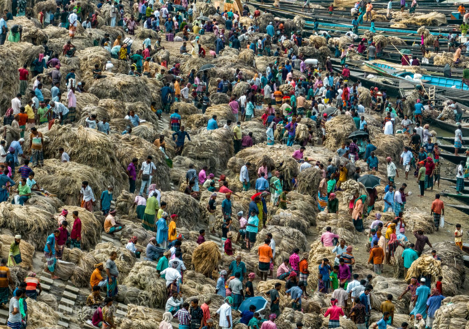 Aerial View of Jute Retting Process and Wholesale Jute Market on the Bank of Jamuna River