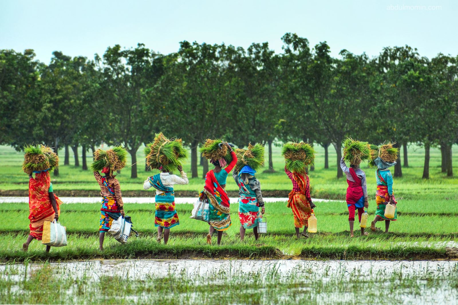 Traditional Fishing, Pottery Village, Rural Lifestyle in North Bengal