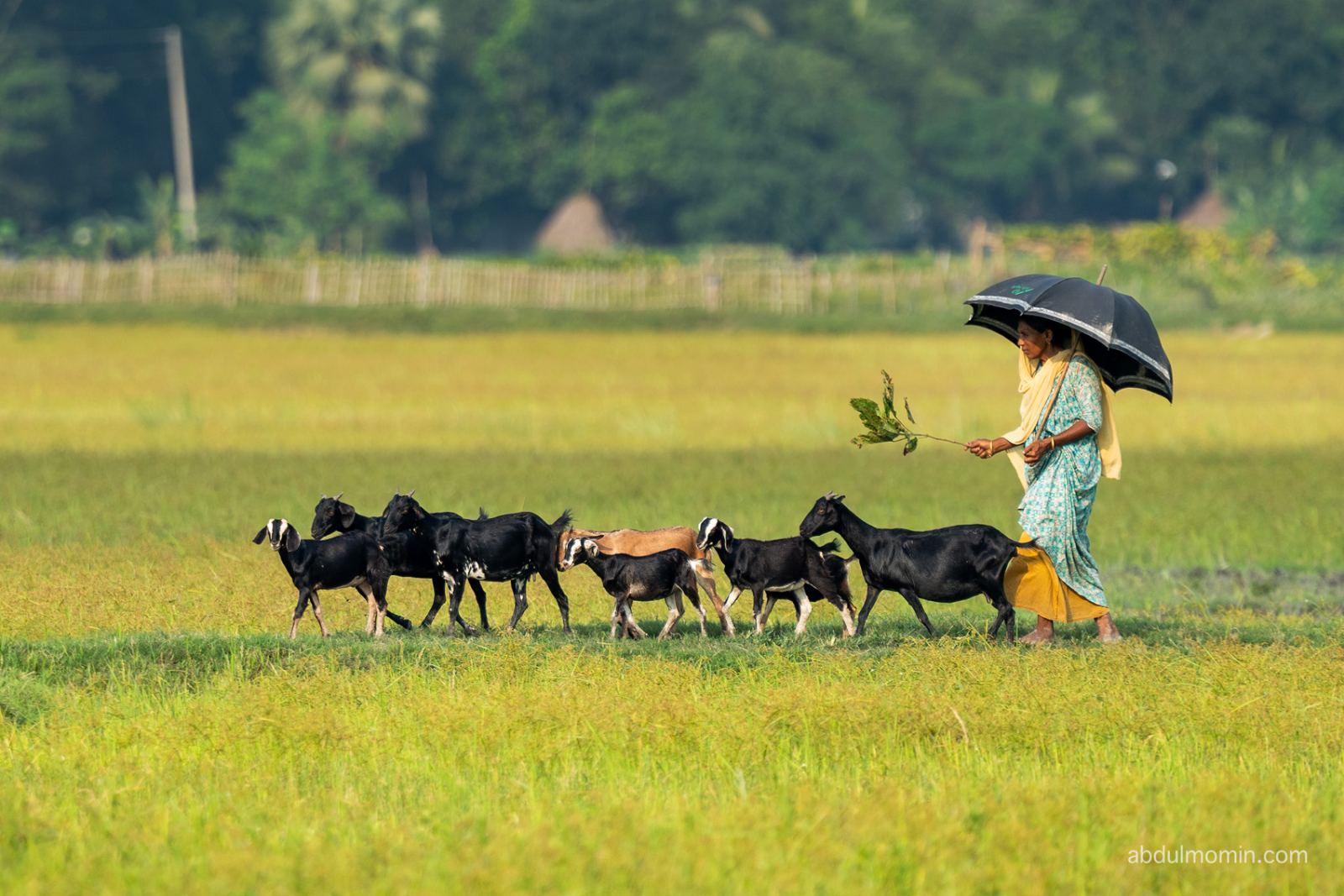 Traditional Fishing, Pottery Village, Rural Lifestyle in North Bengal