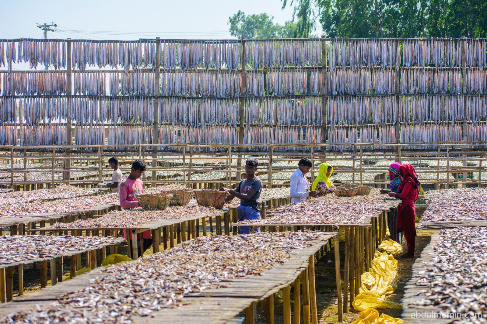 Coastal Shores, Moon Boats, and Dry Fish Yards