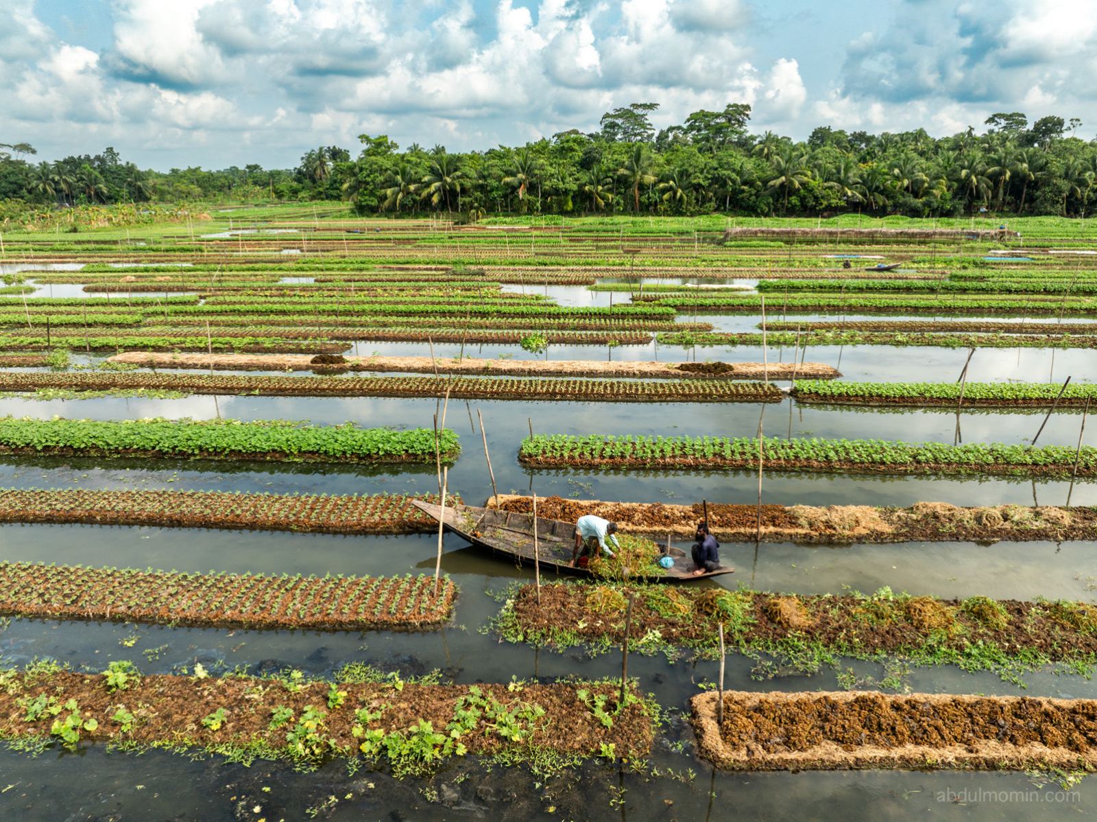 Floating Fruits Market and Floating Vegetable Farming