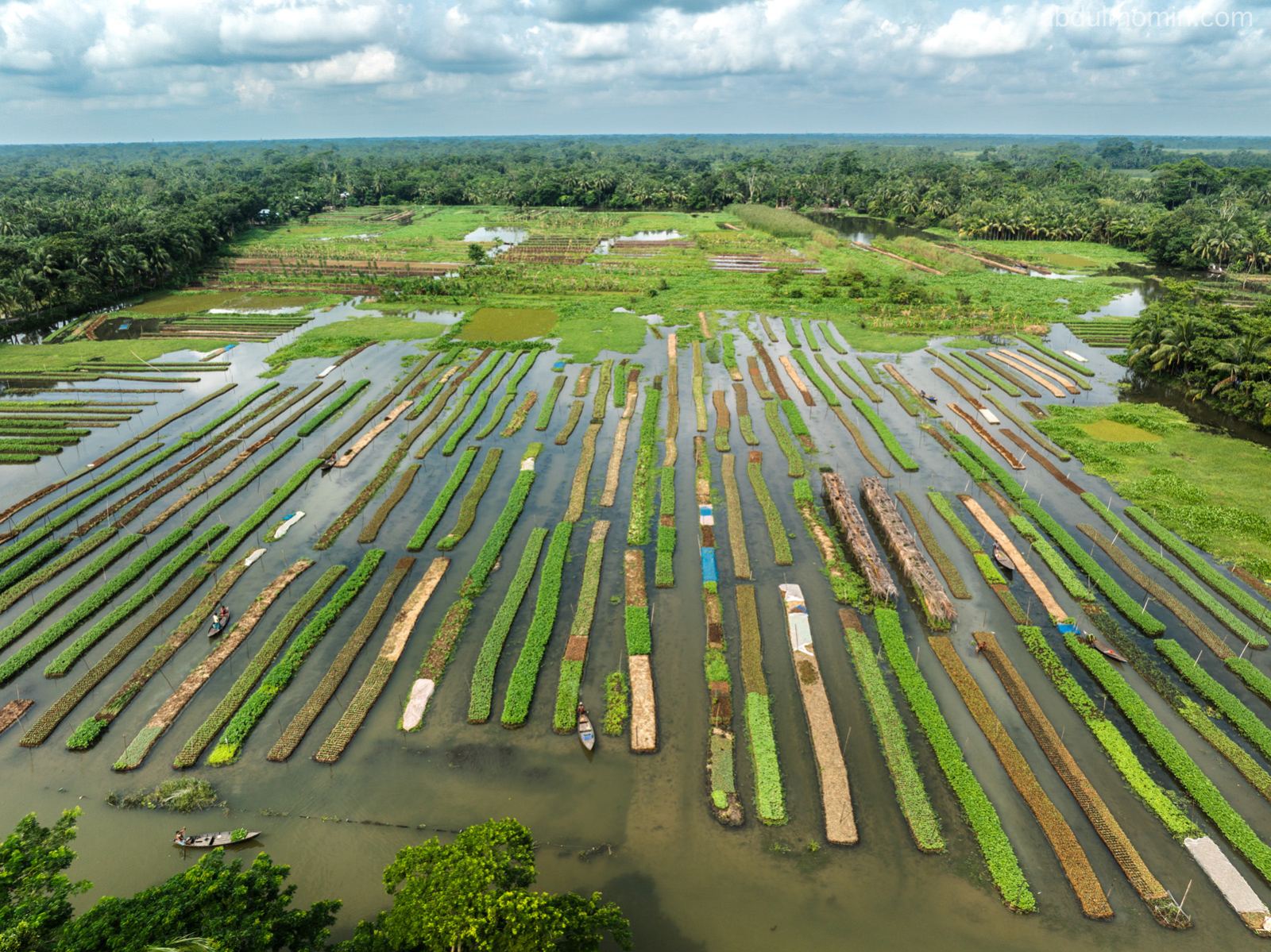 Floating Fruits Market and Floating Vegetable Farming