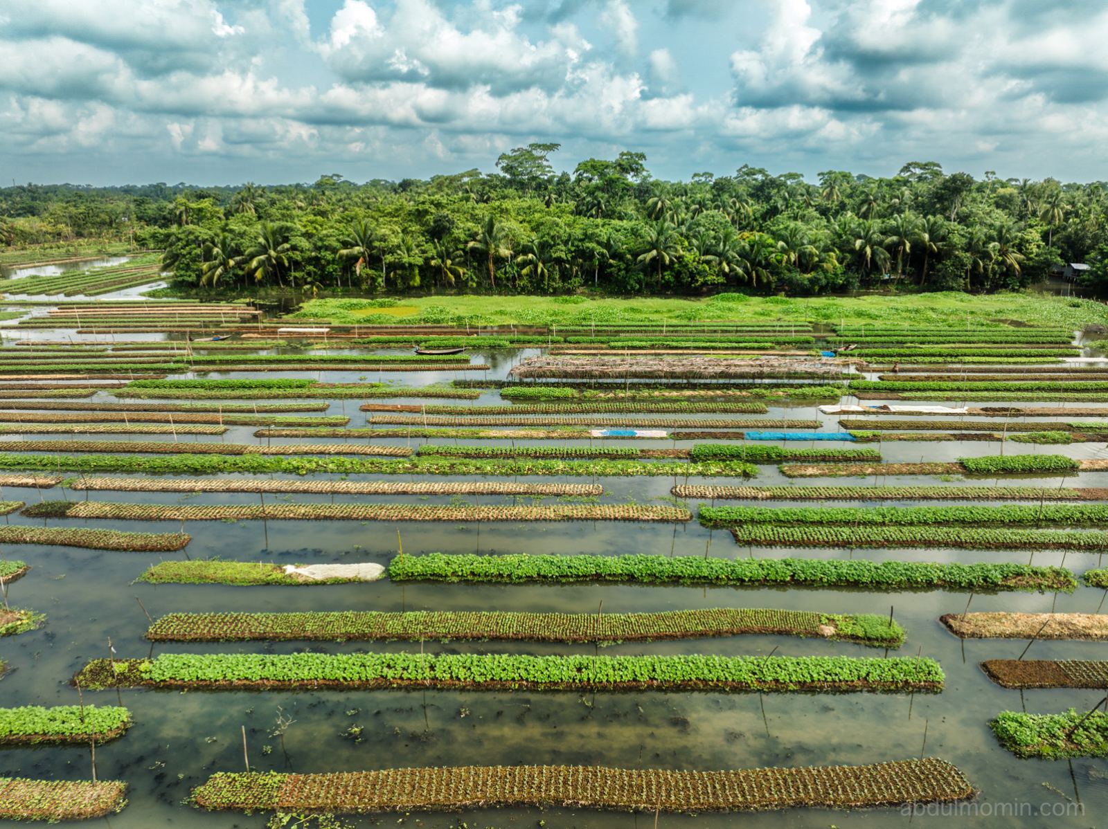 Floating Fruits Market and Floating Vegetable Farming