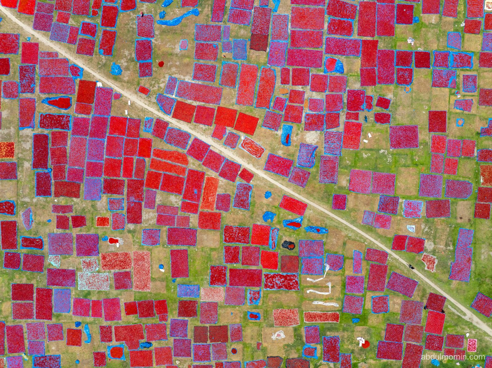 Red Chili Drying Yards and Tomato Farms