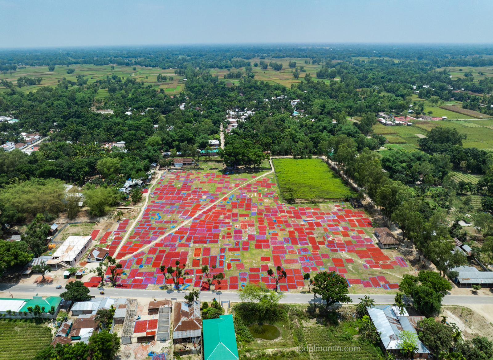 Red Chili Drying Yards and Tomato Farms