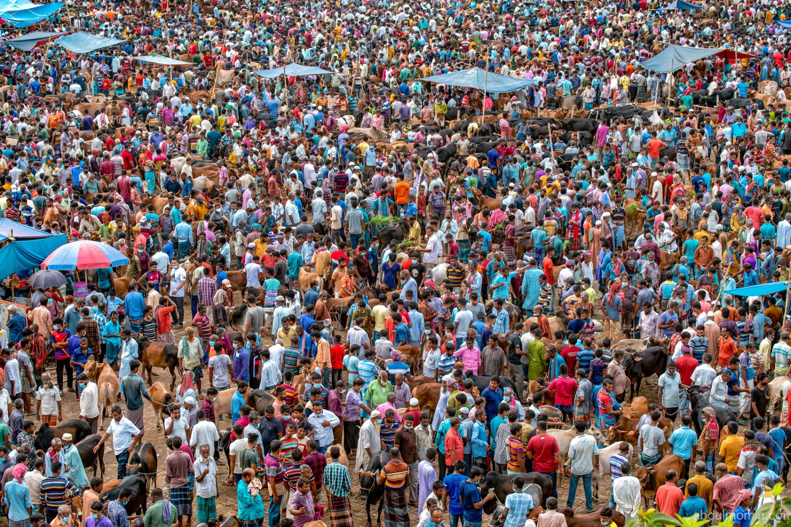 Bustling Livestock Markets Before Eid ul Adha