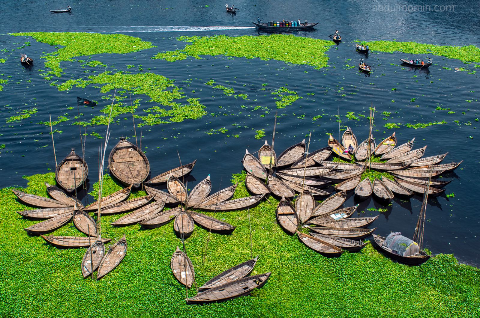 Petal-Shaped Boat Arrangements & Shipyard