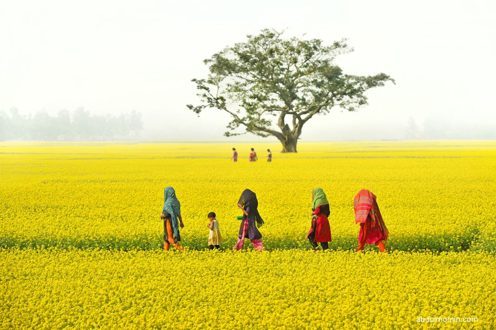 Mahasthan Garh, Gokul Medh, Vasu Bihar & Mustard Bloom