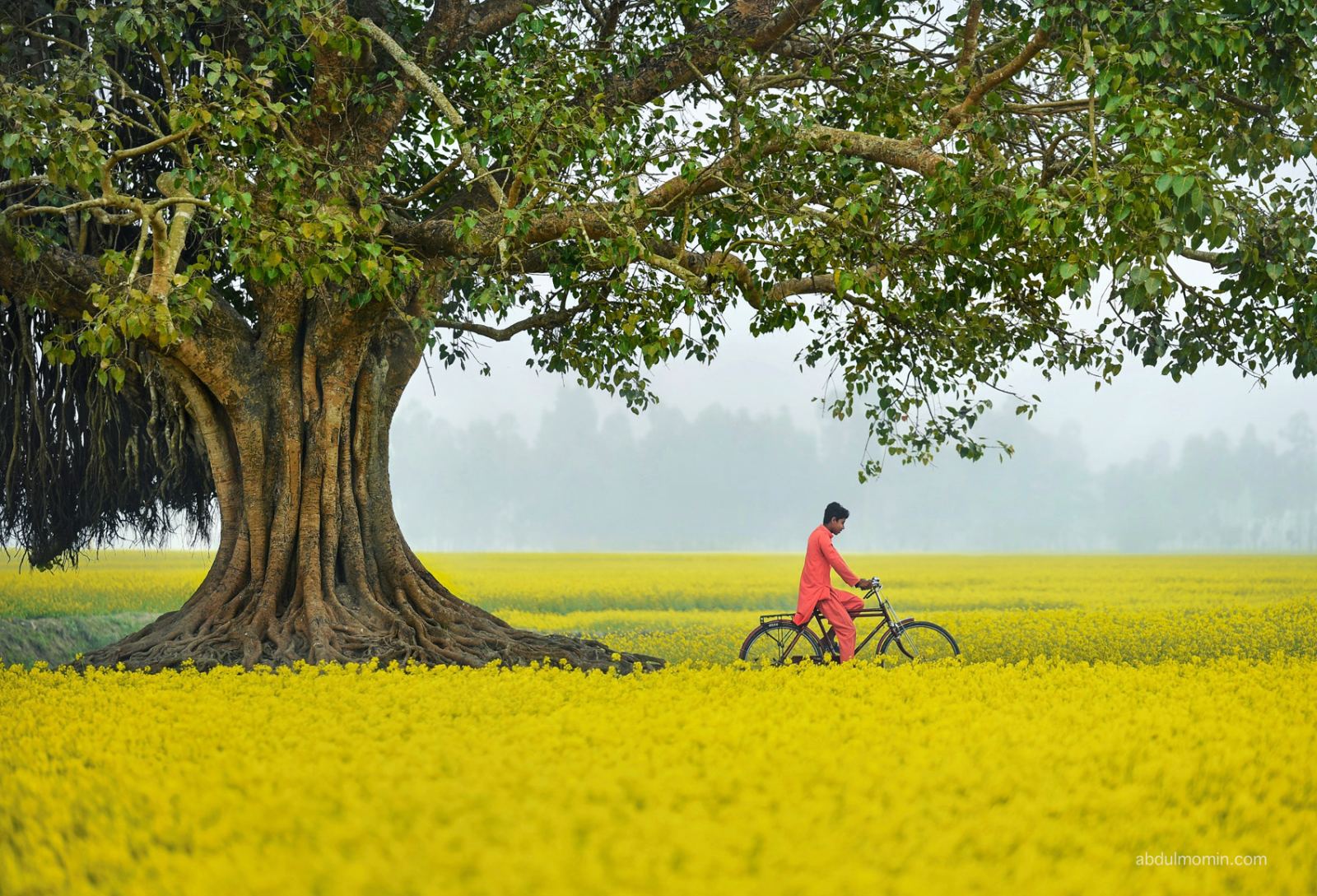 Mahasthan Garh, Gokul Medh, Vasu Bihar & Mustard Bloom