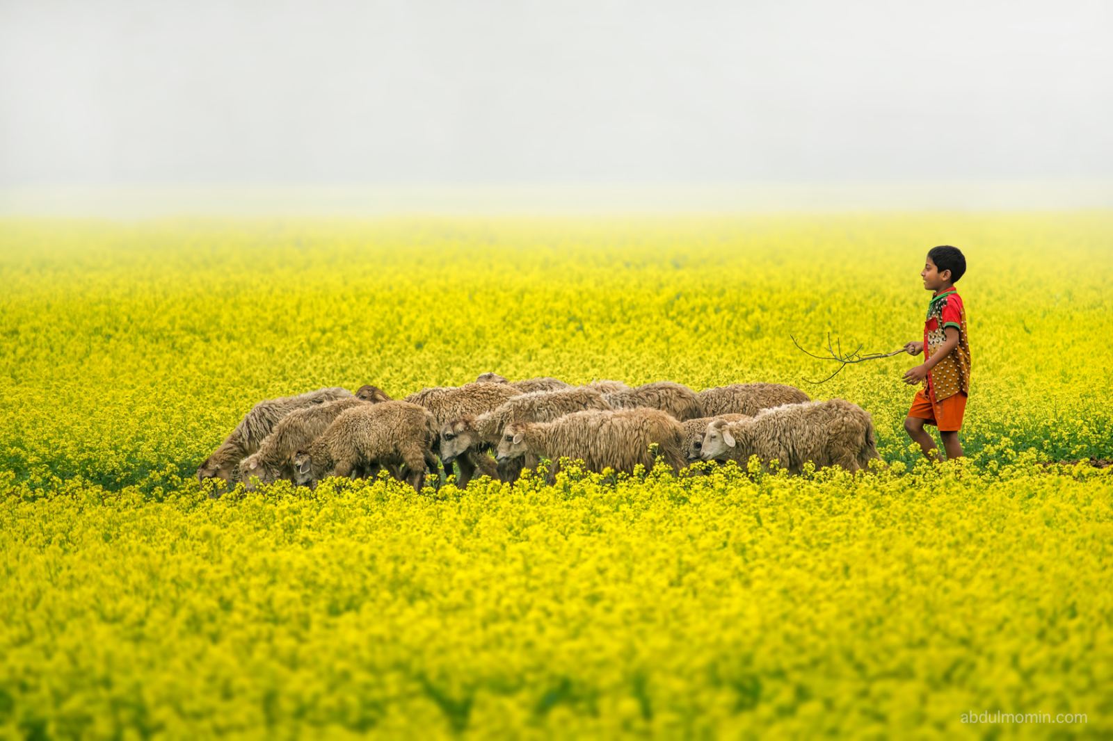 Mahasthan Garh, Gokul Medh, Vasu Bihar & Mustard Bloom