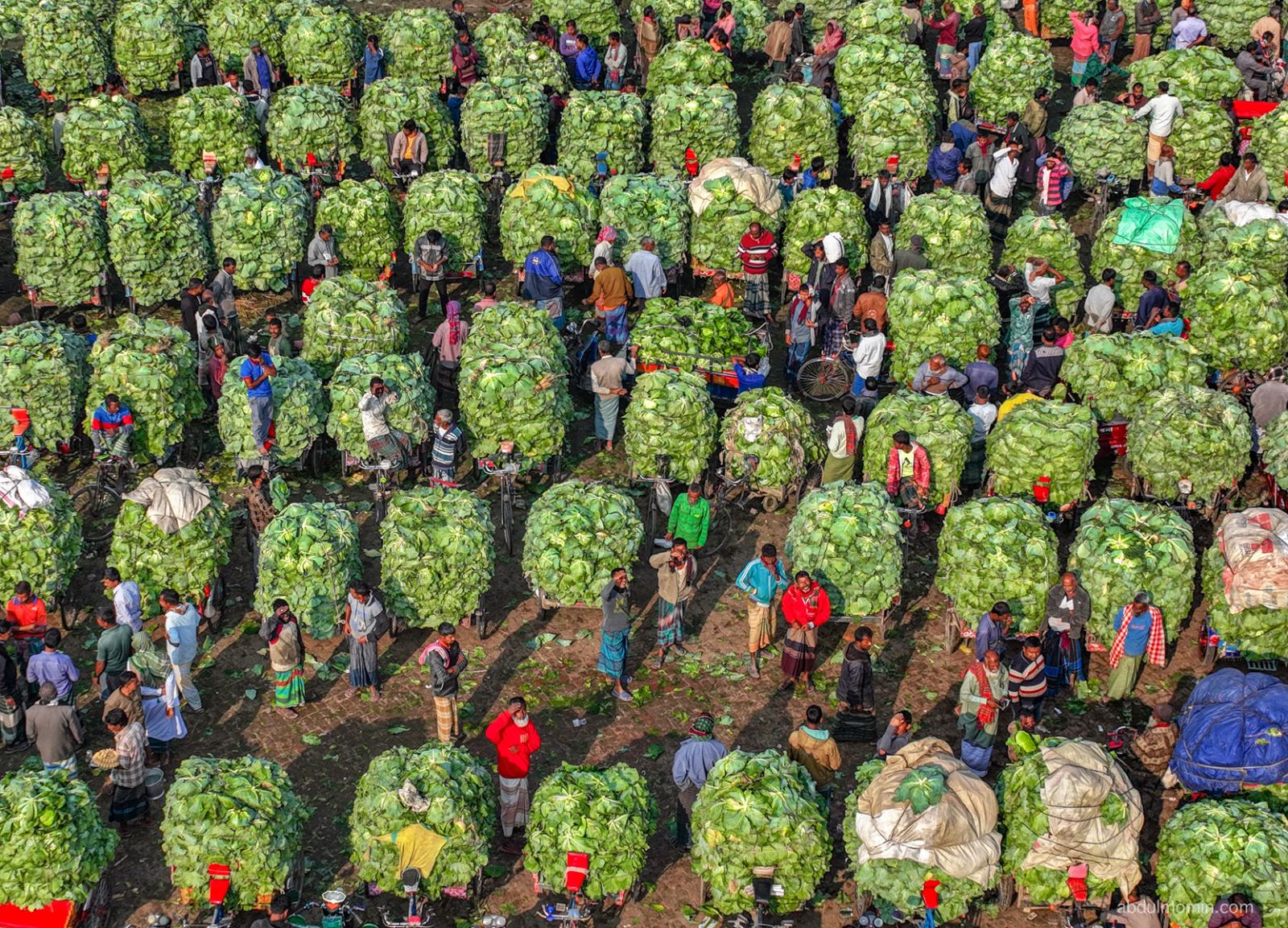 Bustling Vegetable Market and Red Chili Farms