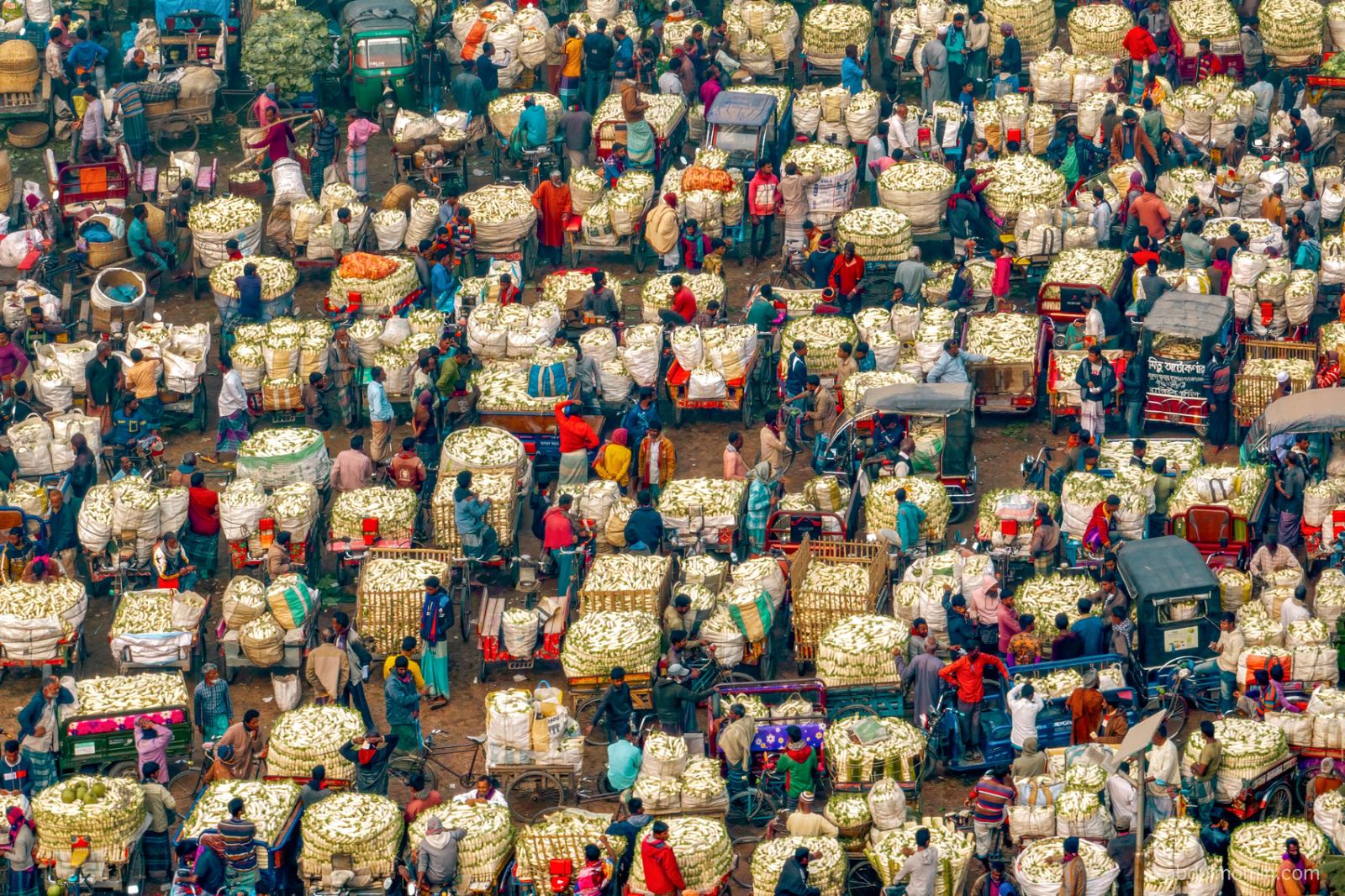 Bustling Vegetable Market and Red Chili Farms