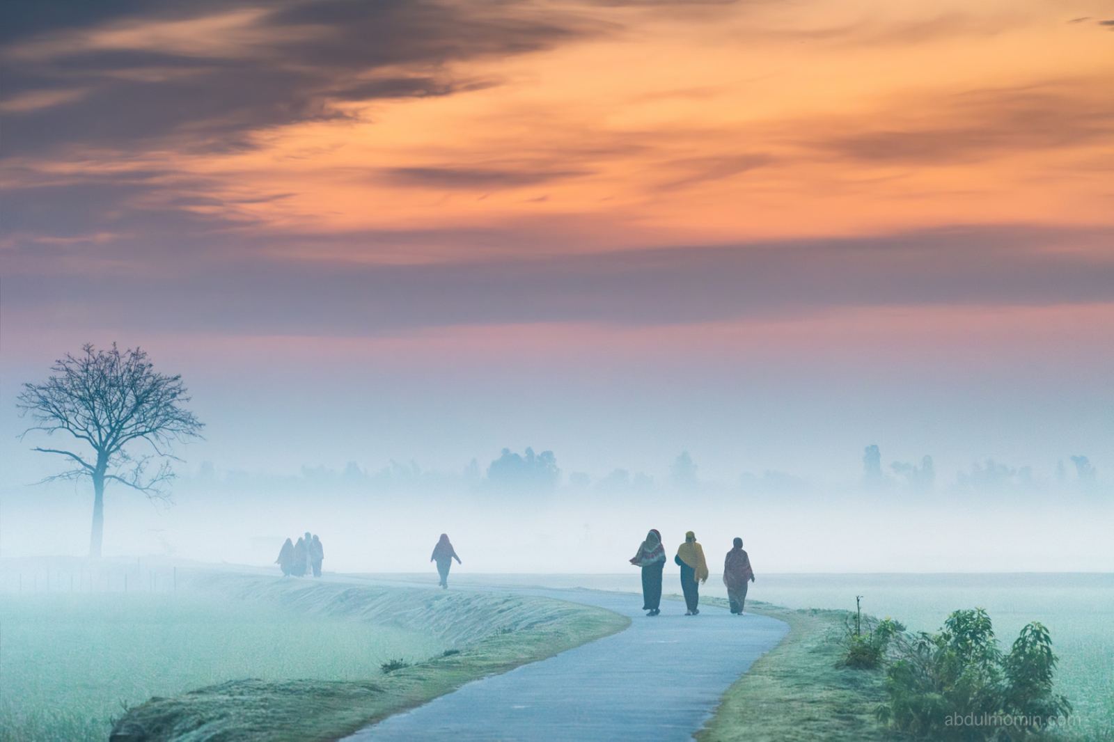 Foggy Winter Morning Scenes in Rural Areas