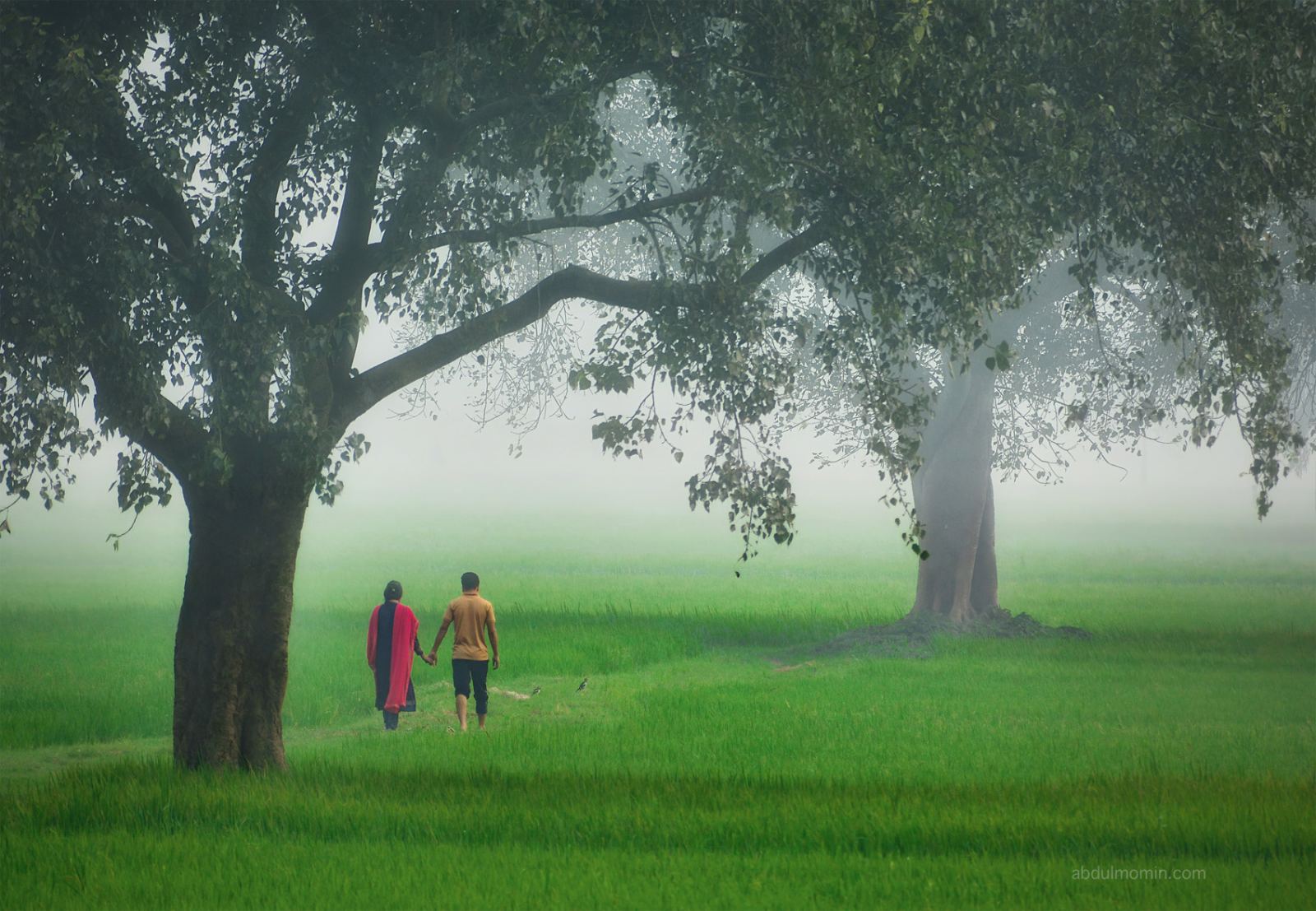 Foggy Winter Morning Scenes in Rural Areas