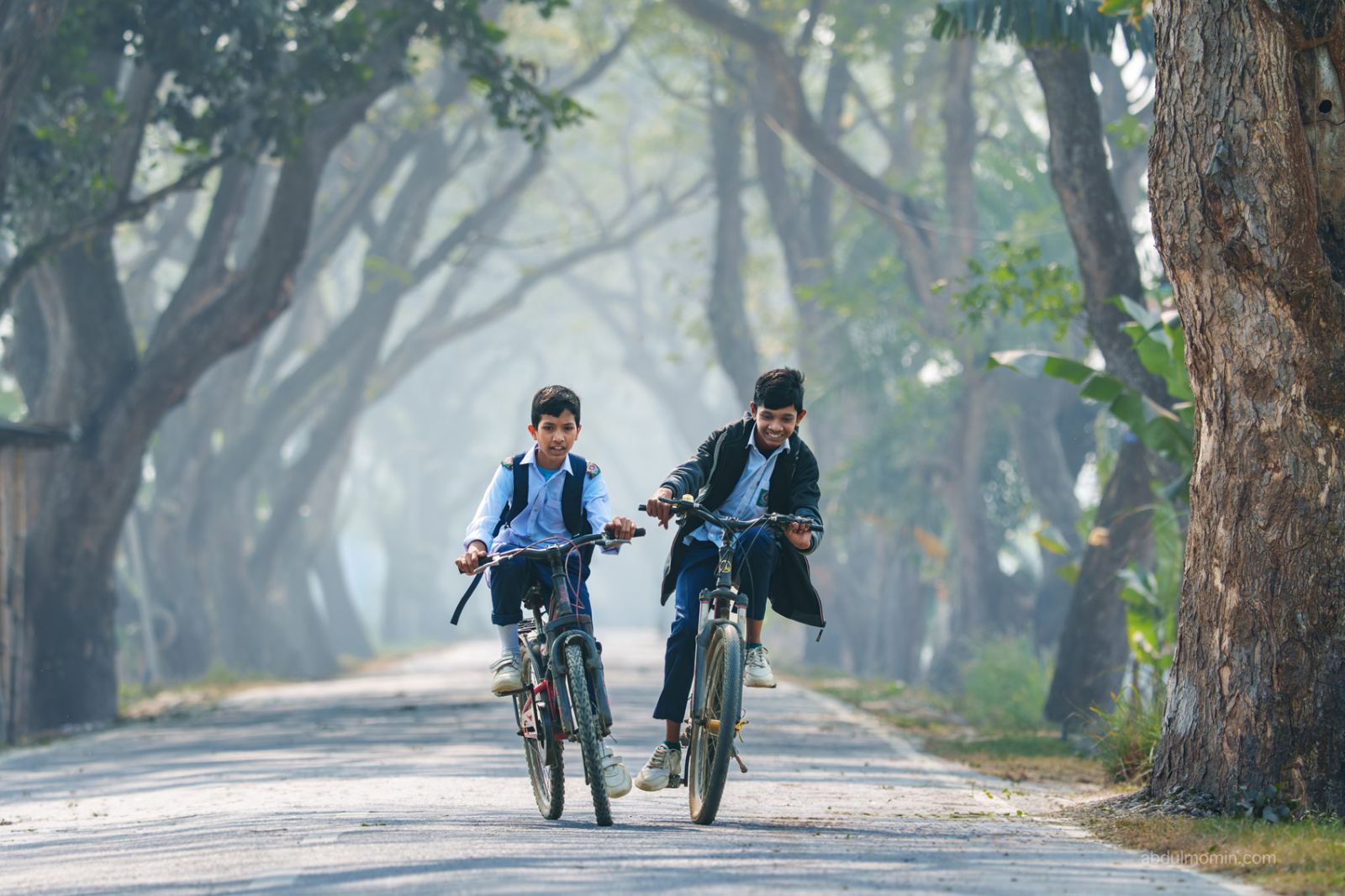Foggy Winter Morning Scenes in Rural Areas