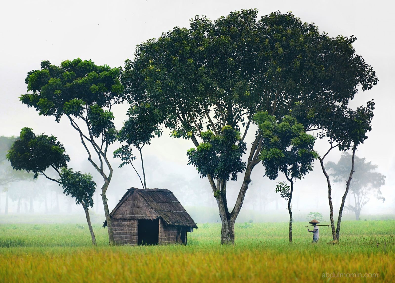 Foggy Winter Morning Scenes in Rural Areas