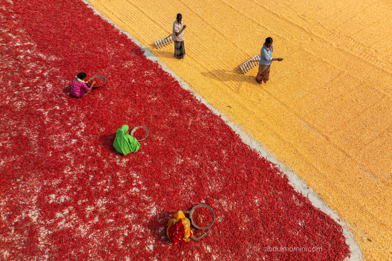 Red Chili Farms