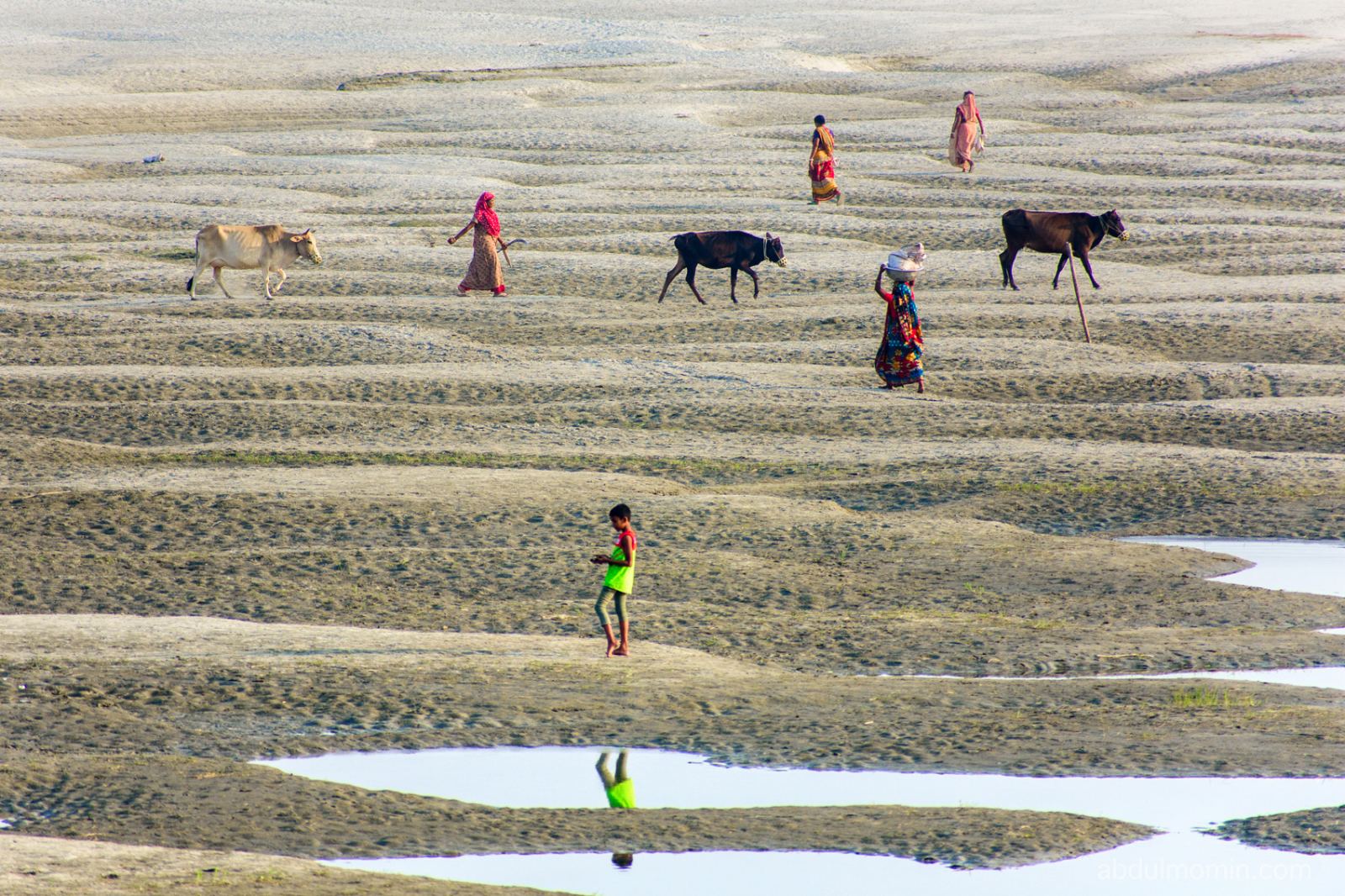 Life in Sandbars