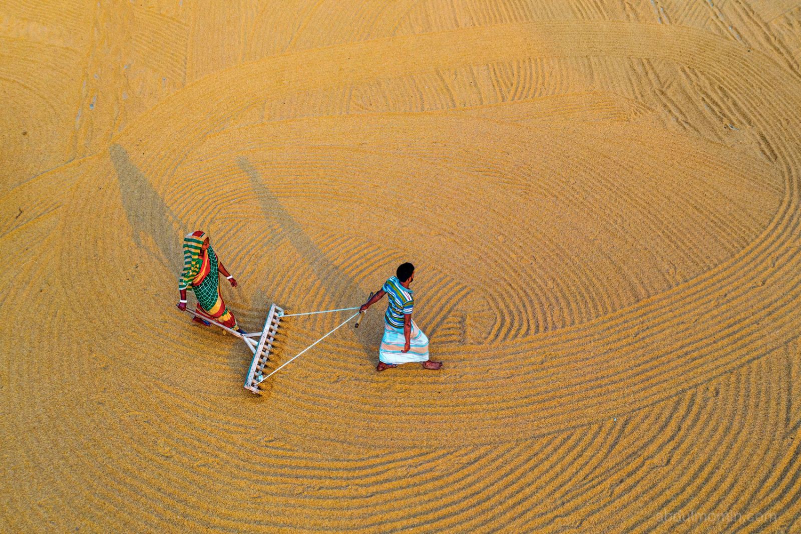 Traditional Rice Mills