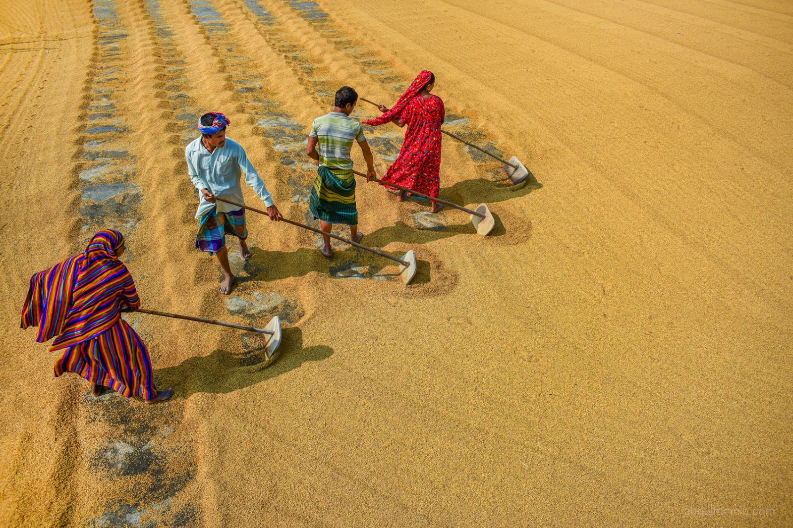 Traditional Rice Mills