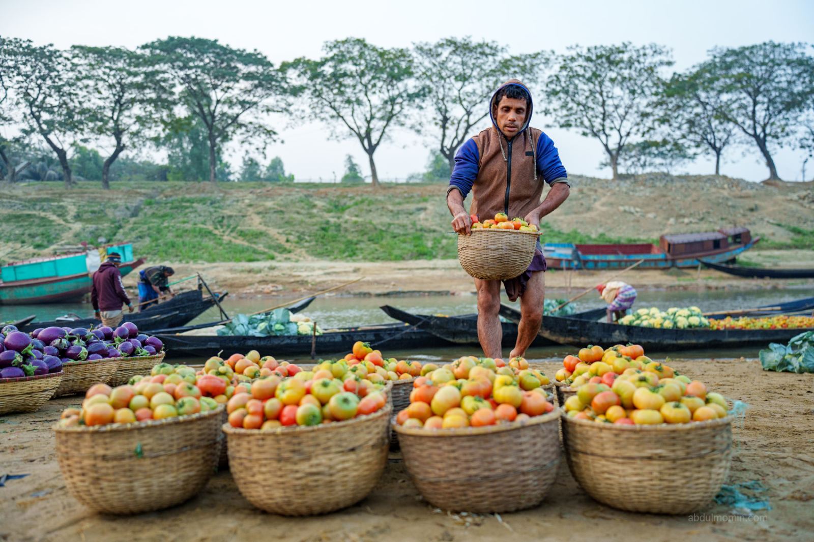Huge Tomato Market at Kanaighat and Sylhet Landscape Photography