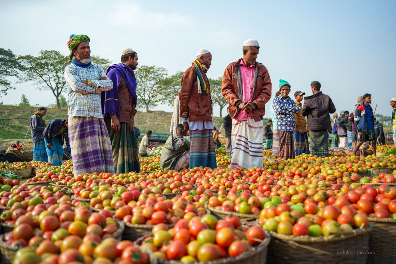 Huge Tomato Market at Kanaighat and Sylhet Landscape Photography