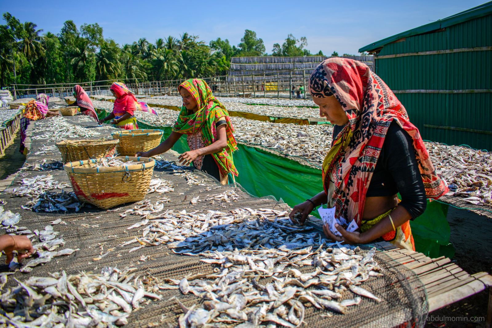 Shutki Mahal and Coastal Lifestyle