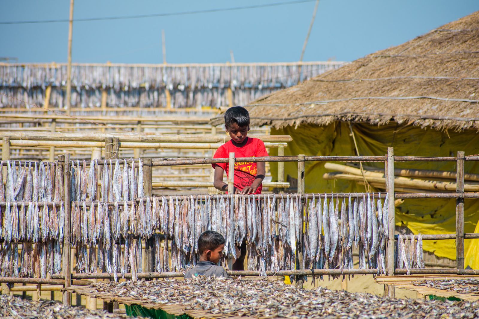 Shutki Mahal and Coastal Lifestyle