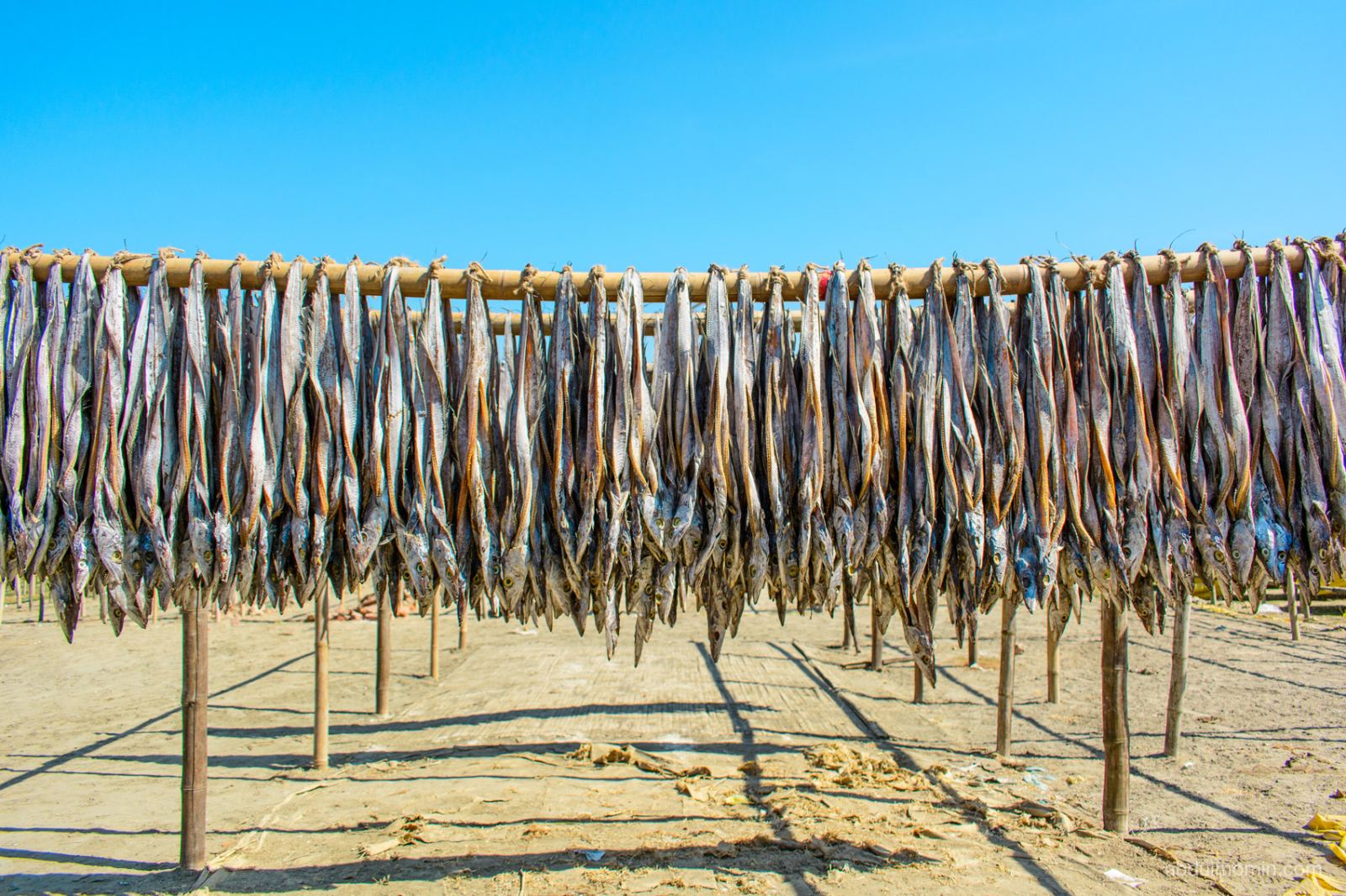 Shutki Mahal and Coastal Lifestyle