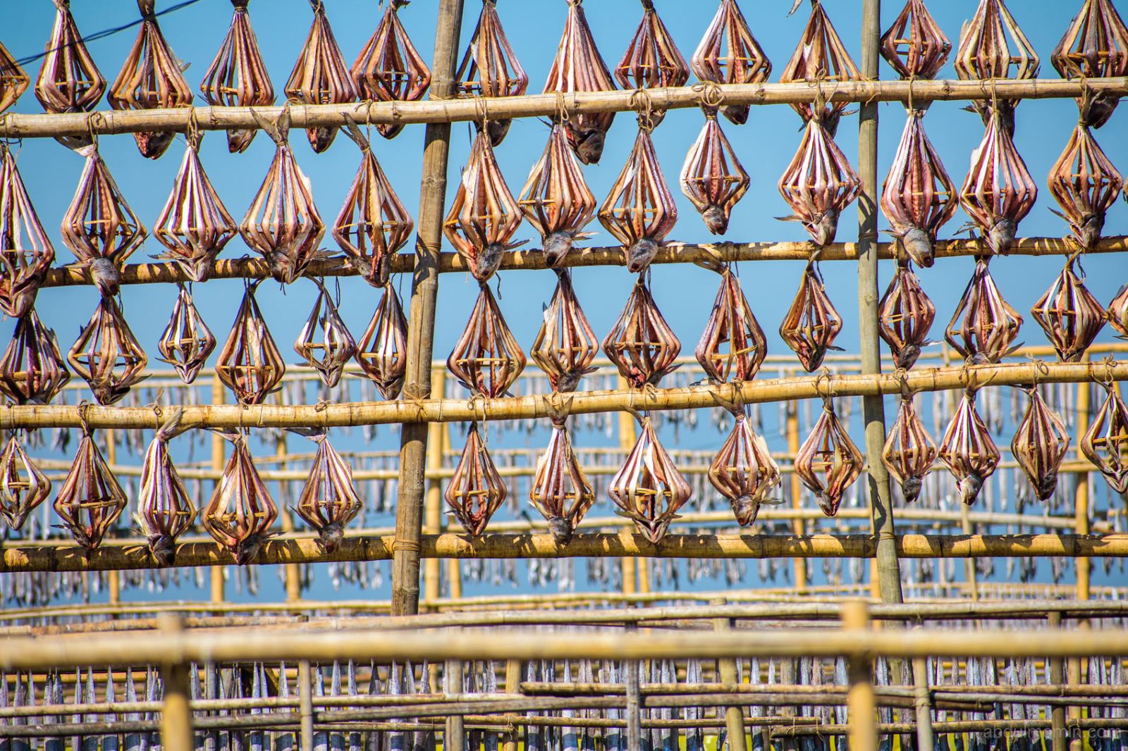Shutki Mahal and Coastal Lifestyle