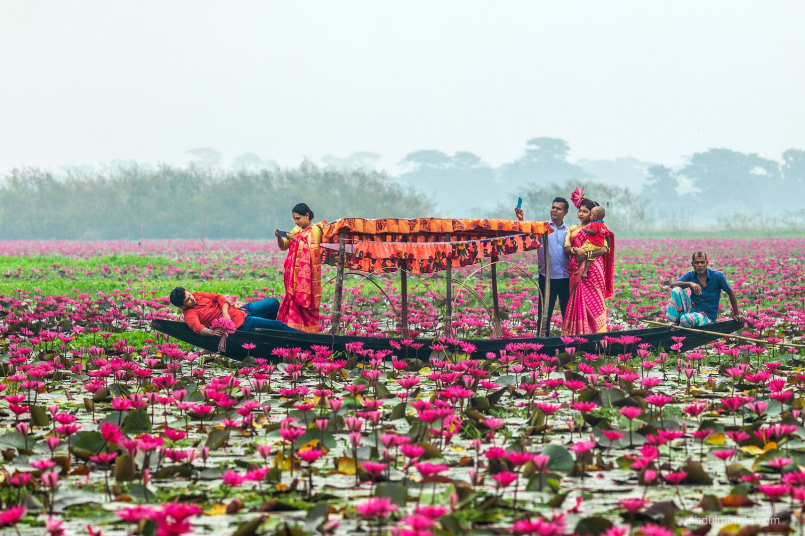 Water Lily Heaven and Floating Life