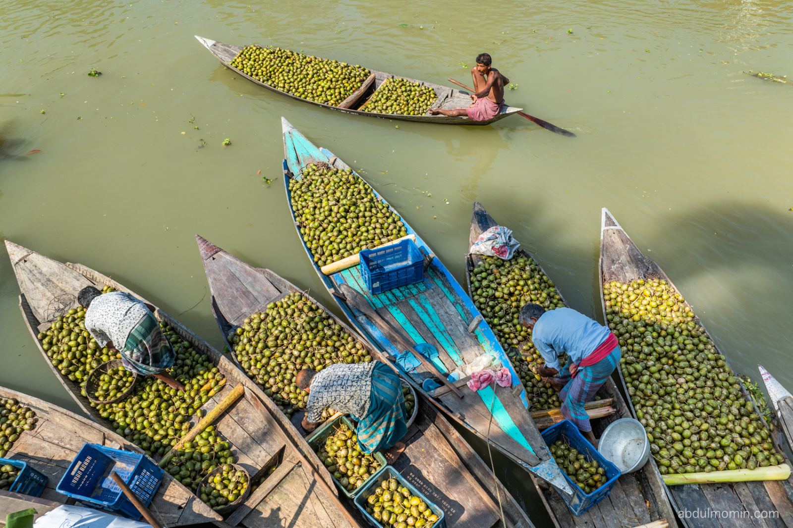 Floating Fruits Market and Floating Vegetable Farming