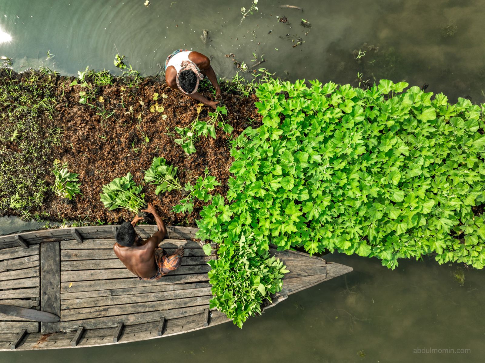 Floating Fruits Market and Floating Vegetable Farming